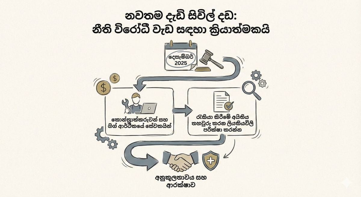ඩිට්වා සුළි කුණාටුවෙන් පසු ලංකාව ගොඩනැගීමට විදේශගත ලාංකිකයන් සහය දෙන අයුරු