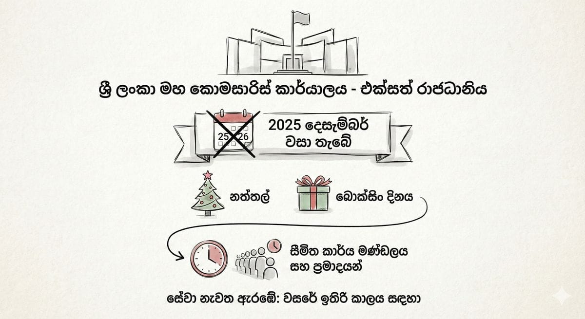 ඩිට්වා සුළි කුණාටුවෙන් පසු ලංකාව ගොඩනැගීමට විදේශගත ලාංකිකයන් සහය දෙන අයුරු