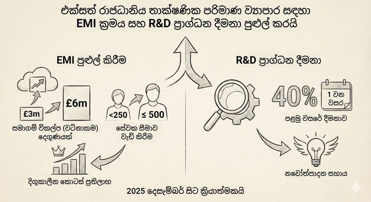 UK Tech Scale-ups සඳහා EMI සහ R&D බදු සහන පුළුල් කිරීම 2025