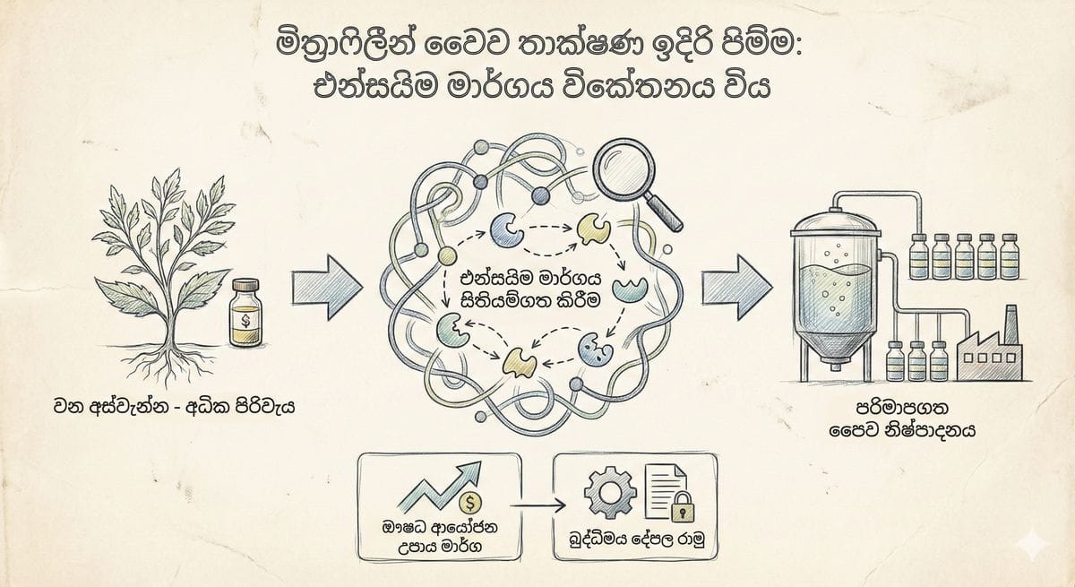 බ්‍රිතාන්‍යයේ නව වීසා සහ දේශසීමා ආරක්ෂක පනත පිළිබඳ නිරූපණය