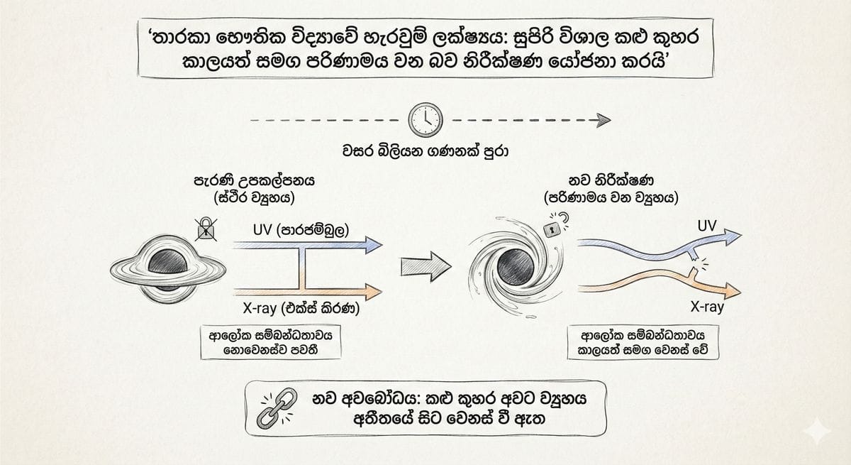 සුළි කුණාටුවෙන් හානියට පත් වූ මාර්ග සහ යටිතල පහසුකම් පෙන්වන ඡායාරූපයක්
